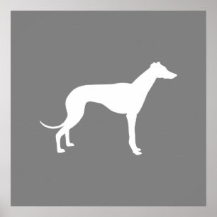 Poster Cão de Greyhound