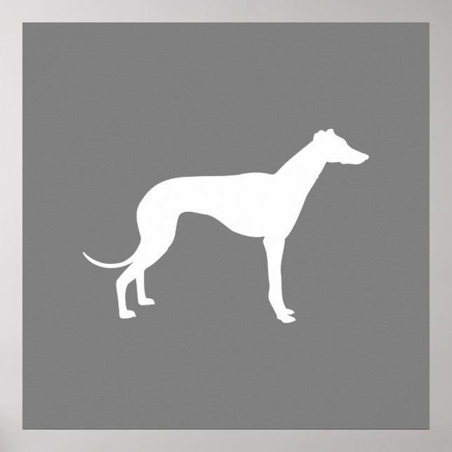 Poster Cão de Greyhound (Frente)