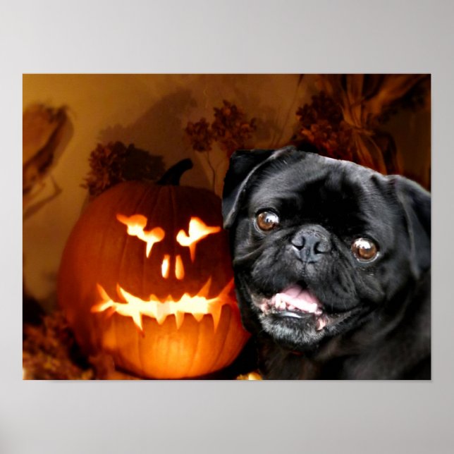 Póster Cão de Halloween Pug (Frente)