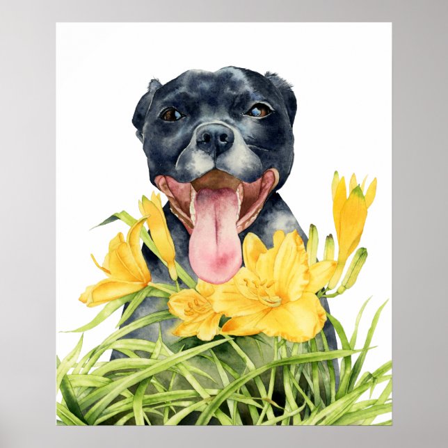 Poster Cão-de-jardim de flores amarelas (Frente)