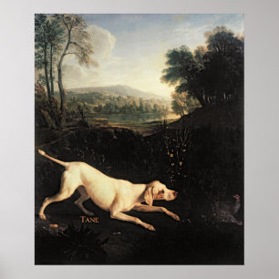 Póster Cão de Louis XIV, Tane