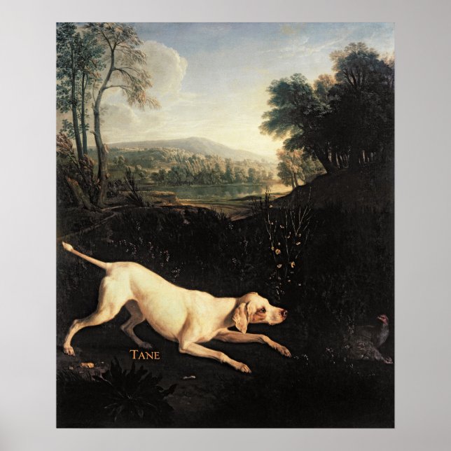 Póster Cão de Luís XIV, Tane (Frente)
