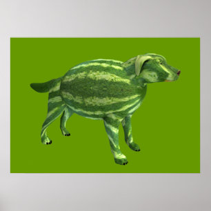 Poster Cão de Melancia