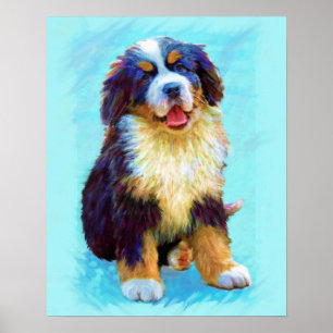 Póster cão de montanha bernese