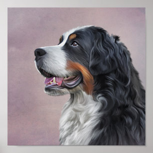Poster Cão de montanha de Bernese