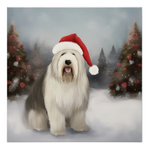 Póster Cão de Pastoreio Inglês Antigo no Natal com Neve