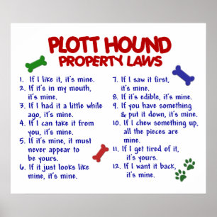 PÓSTER CÃO DE PLOTT PL2