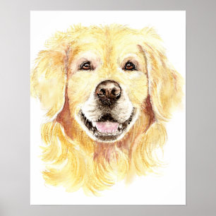 Poster Cão de Retriever ouro Pet Aquarela animal