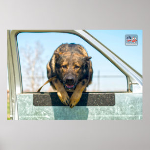 POSTER CÃO DE TRABALHO MILITAR DOS EUA