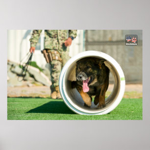 POSTER CÃO DE TRABALHO MILITAR DOS EUA