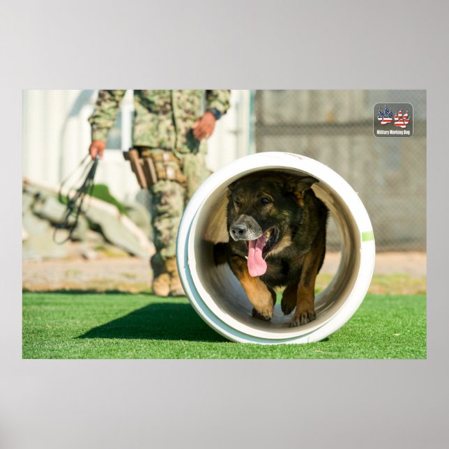 POSTER CÃO DE TRABALHO MILITAR DOS EUA (Frente)