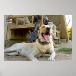 POSTER CÃO DE TRABALHO MILITAR DOS EUA