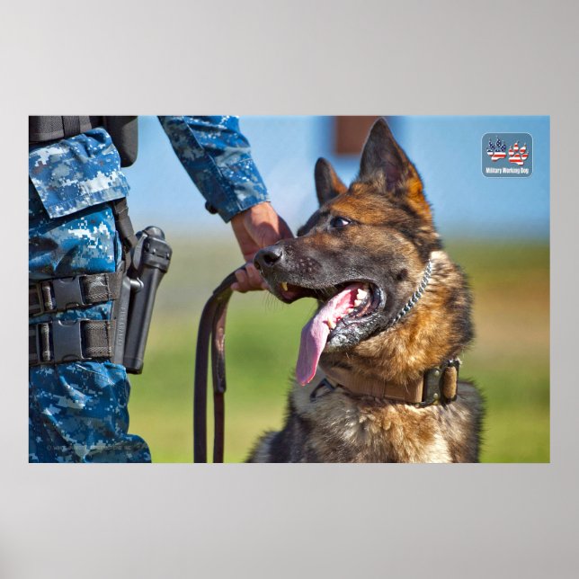 POSTER CÃO DE TRABALHO MILITAR DOS EUA (Frente)