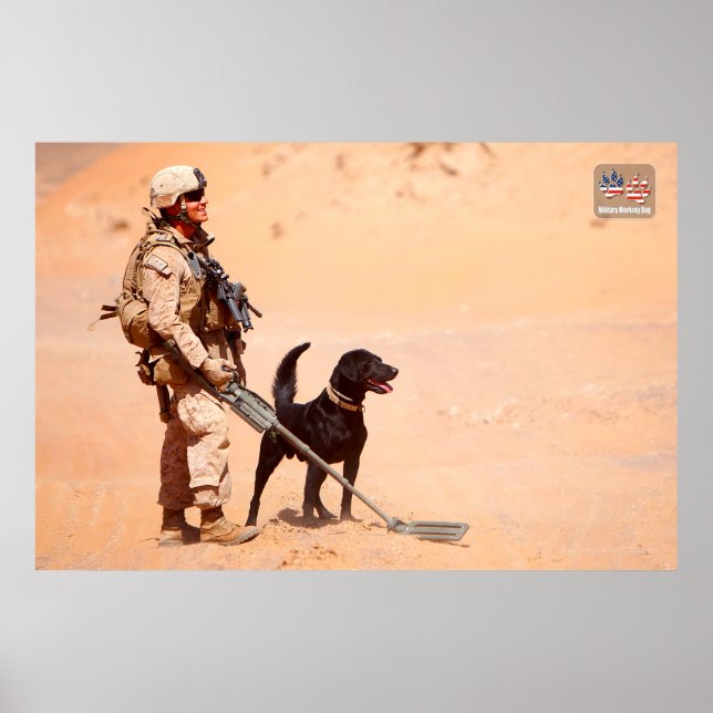 POSTER CÃO DE TRABALHO MILITAR DOS EUA (Frente)