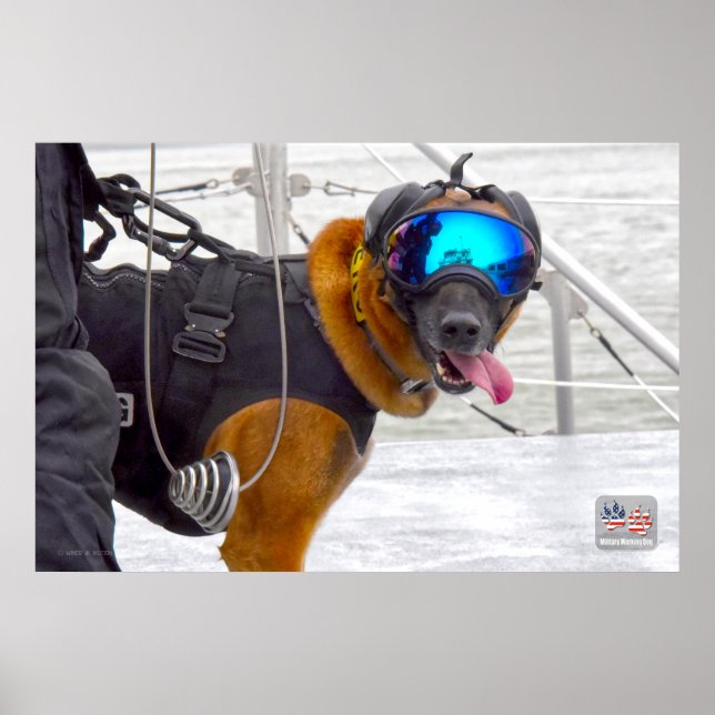 POSTER CÃO DE TRABALHO MILITAR DOS EUA (Frente)