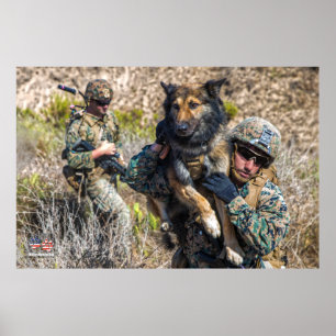 POSTER CÃO DE TRABALHO MILITAR DOS EUA