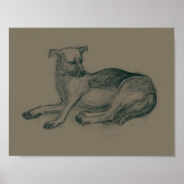 Póster Cão. desenho do lápis.
