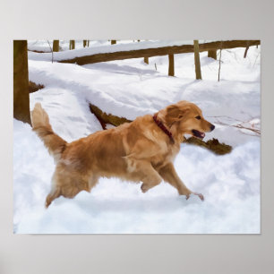 Poster Cão do golden retriever na neve