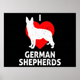 Poster Cão do Lobo german shepherd