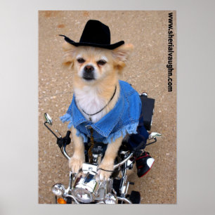 Poster Cão do motociclista do vaqueiro