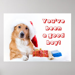Póster Cão do Natal com antler e os presentes coloridos