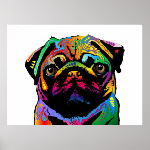 Poster Cão do Pug