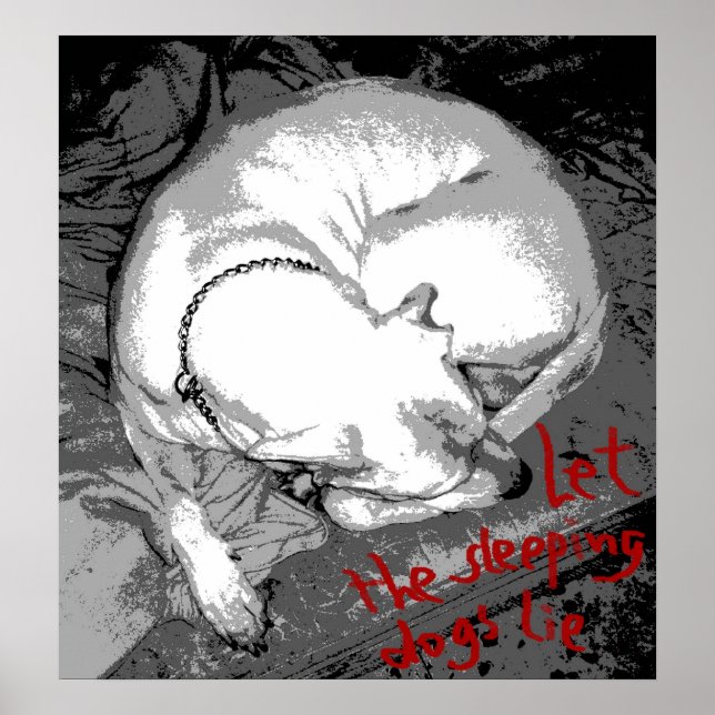 Póster Cão dormindo (poster) (Frente)