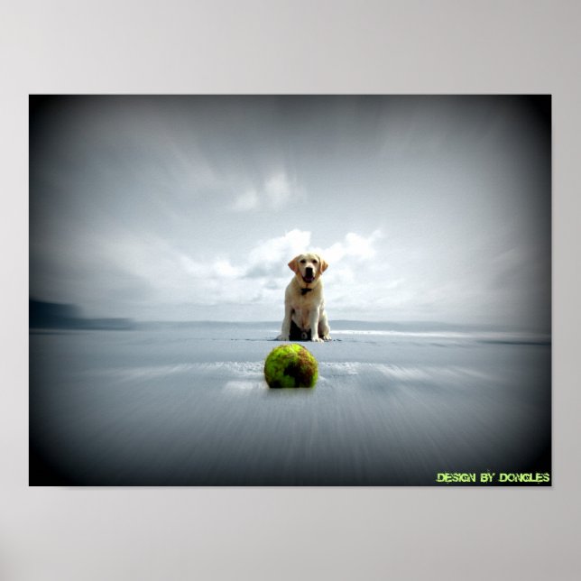 Poster Cão e bola (Frente)