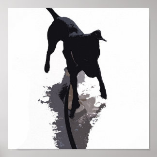 Póster cão e sombra posterizados