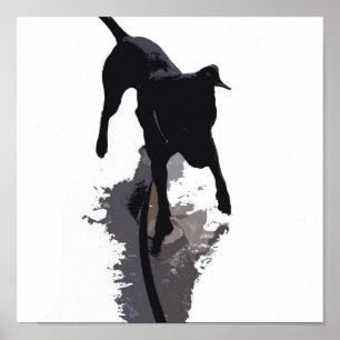 Póster cão e sombra posterized