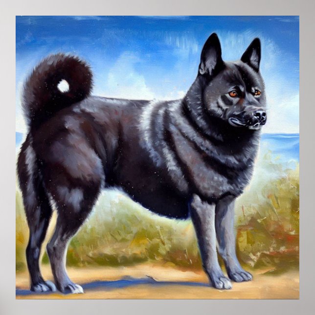 Poster Cão Elkhound Negro Norueguês (Frente)