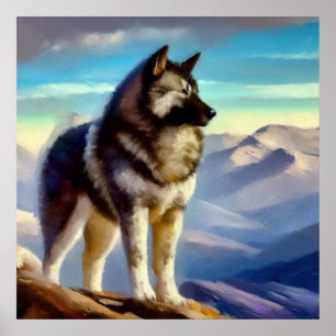 Poster Cão Elkhound Norueguês