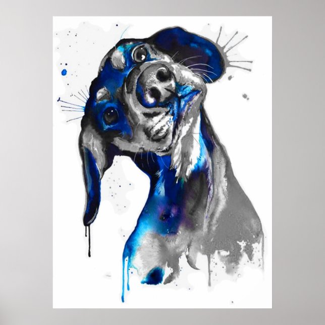 Poster Cão em Azul (Frente)