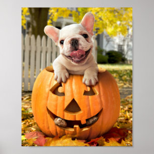 Poster Cão em Jack-o-Lanterna