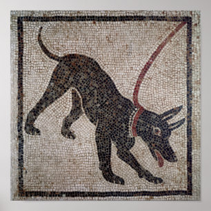 Póster Cão em uma trela, de Pompeii