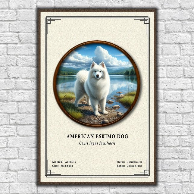 Poster Cão Esquimó Americano Série de Zoologia (Criador carregado)