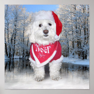 Poster Cão Frise de Natal Bichon