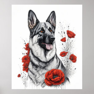 Poster Cão german shepherd