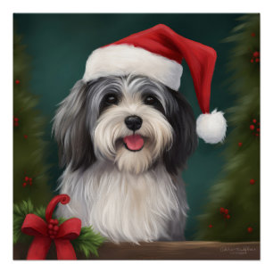 Póster Cão Havanês no Natal com Neve