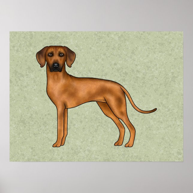 Poster Cão Leão Cartoon Marrom Rhodesian Ridgeback Verde (Frente)