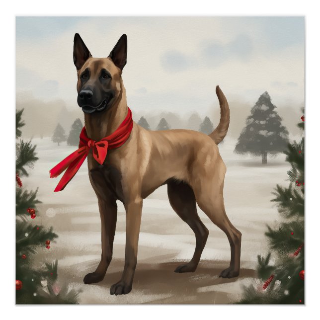 Póster Cão Malinois Belga na Neve Natal (Frente)