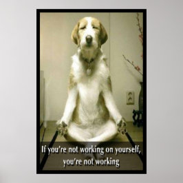 Poster Cão Meditante