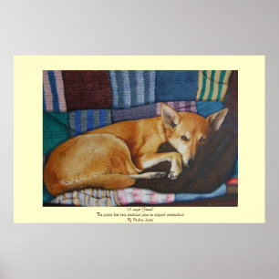Póster cão misturado german shepherd da raça de Labrado
