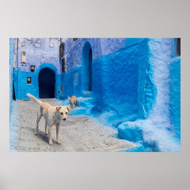 Poster Cão na Cidade Azul (Frente)