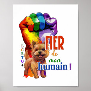 Poster cão Norwich Terrier