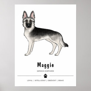 Poster Cão Pastor Alemão Sable Prata e Texto Personalizad