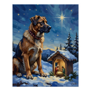 Póster Cão Pastor da Anatólia Guardando Cena de Natal