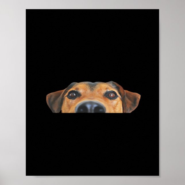 Poster Cão Peekaboo (Frente)
