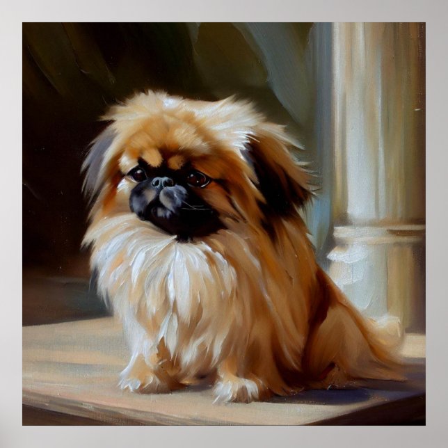 Poster Cão Pekingese (Frente)