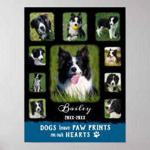 Poster Cão Personalizado Colagem de Fotografias Desbotad